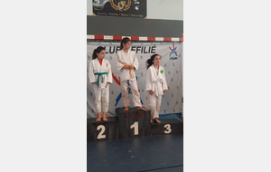 Interclubs du Dojo-Asahi (Condrieu)